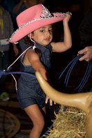 IJO 2015 6